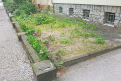 Fahrradstellplätze, Vorgärten und Zäune