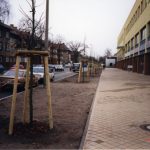 Frisch geplanzte Bäume in der Großbeerenstraße (Tilia Cordata) - 1998